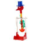 Novelty Dippy Drinking Bird